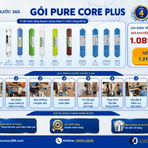 PURE CORE PLUS