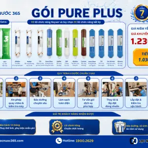 PURE PLUS