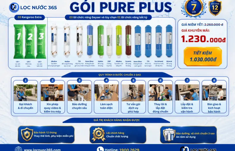 PURE PLUS